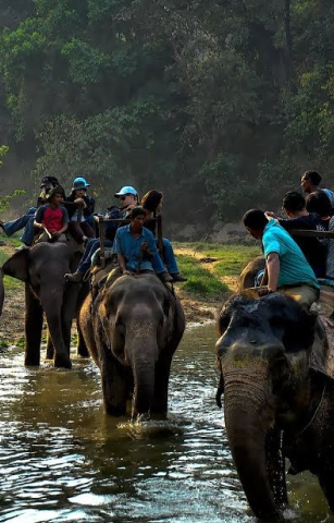 Koshi Tappu Wildlife Reserve